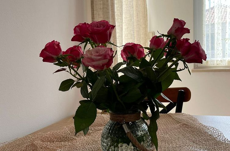 Appartement "Sweet Smile Postira"