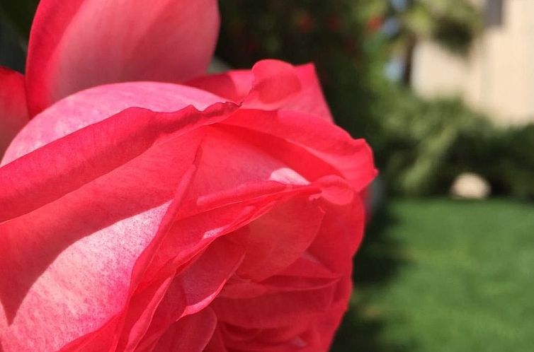 Appartement Geräumige Ferienwohnung mit privatem Sonnenbalk