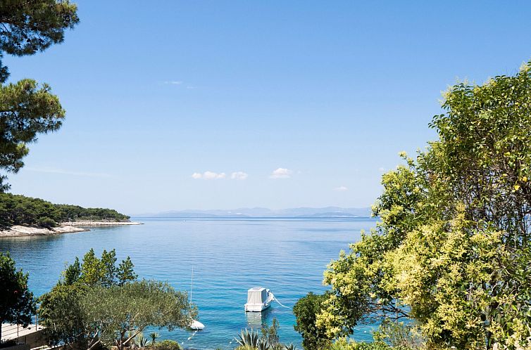 Unterkunft 10316316 - Appartement Dalmatien - Appartement Strandnahe Ferienwohnung mit großer Terrasse