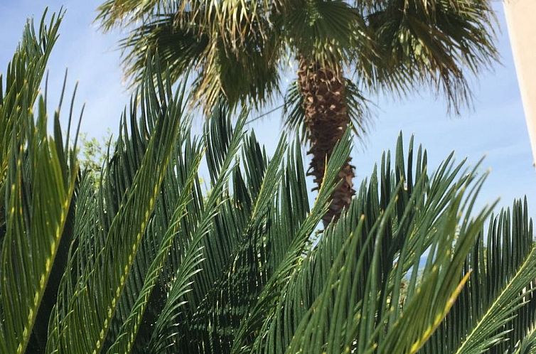 Appartement Geräumige Wohnung mit Meerblick vom Sonnenbalko
