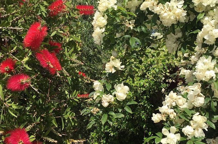 Appartement Geräumige Wohnung mit Meerblick vom Sonnenbalko