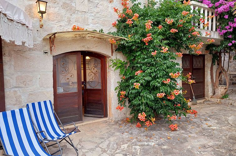 Appartement Wohnung in Zavala mit schönem Garten