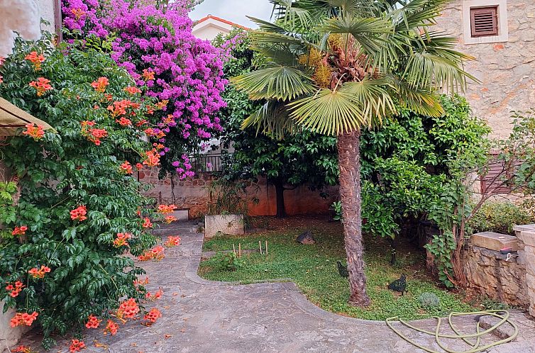 Appartement Wohnung in Zavala mit schönem Garten