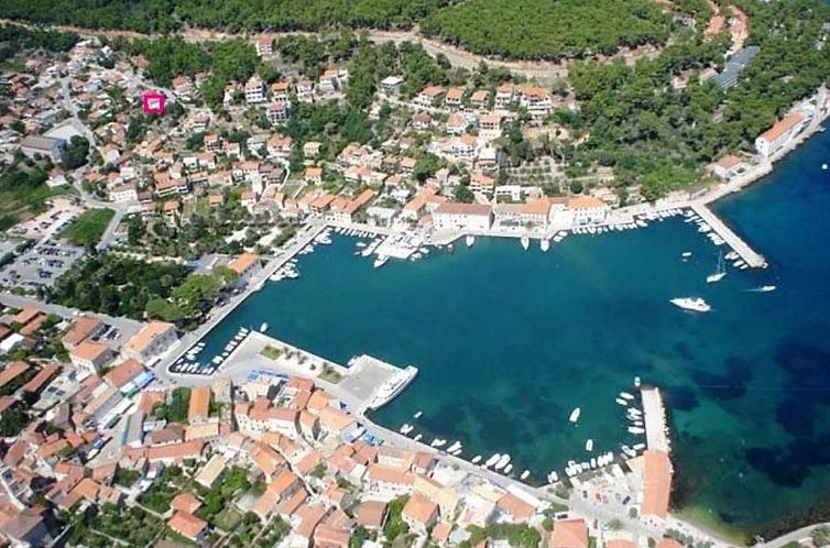 Unterkunft 10316706 - Appartement Dalmatien - Appartement Wohnung in Jelsa