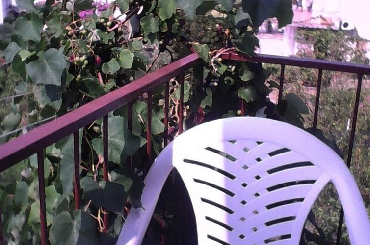 Appartement Schöne Ferienwohnung in Jelsa mit Schönem Balk