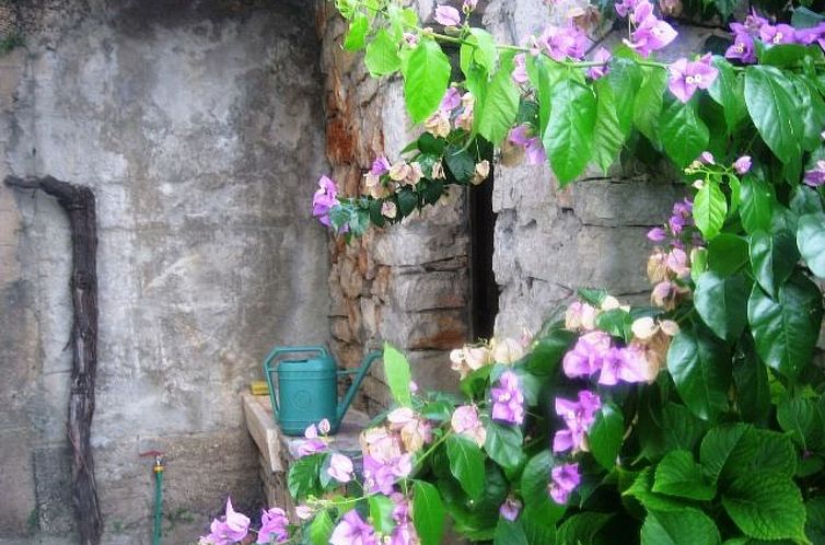 Unterkunft 10316708 - Appartement Dalmatien - Appartement Appartement in Jelsa mit Garten und Grill