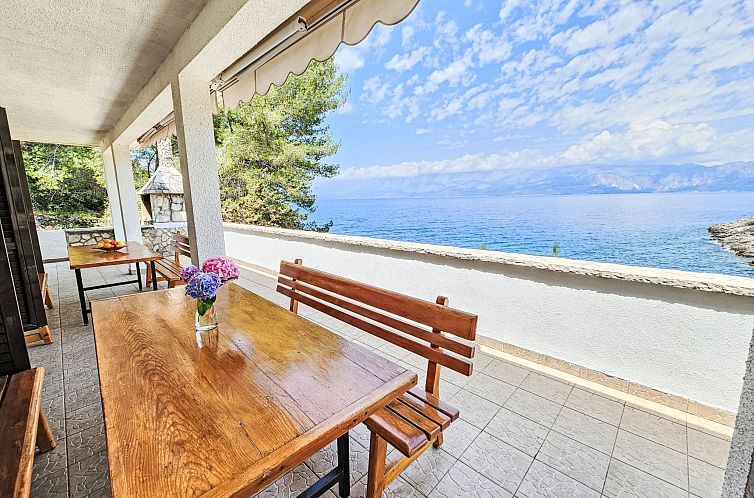 Unterkunft 10316801 - Appartement Dalmatien - Appartement Octopus