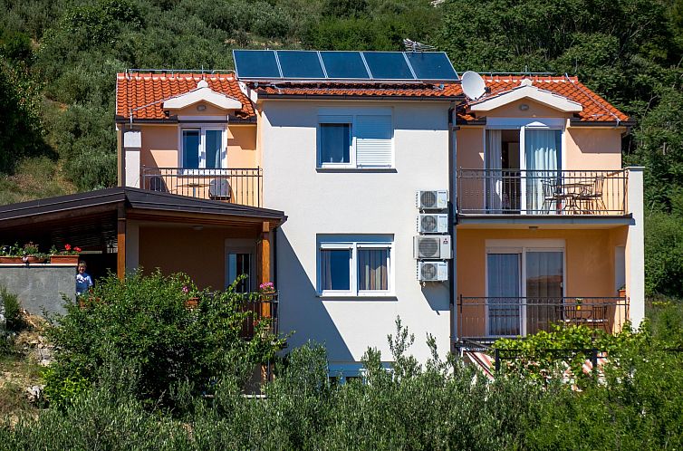 Guest house 10317014 - Apartment Dalmatia - Appartement Studio im Erdgeschoss für zwei Personen mit ein