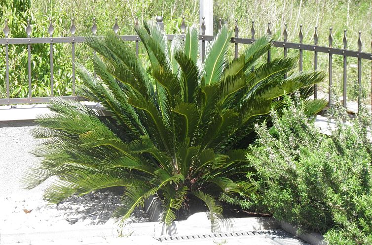 Appartement Studio im Erdgeschoss für zwei Personen mit ein