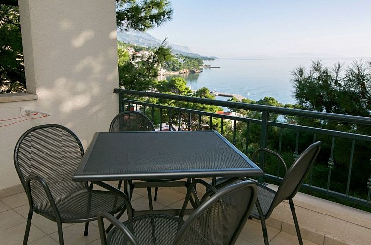 Guest house 10317017 - Holiday property Dalmatia - Vakantiehuis Ferien-Zimmer mit Terrasse