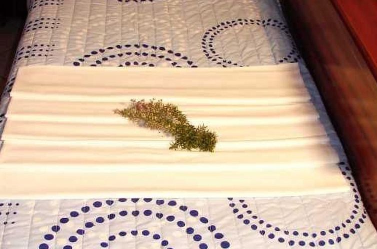 Appartement mit Terrasse für vier Personen