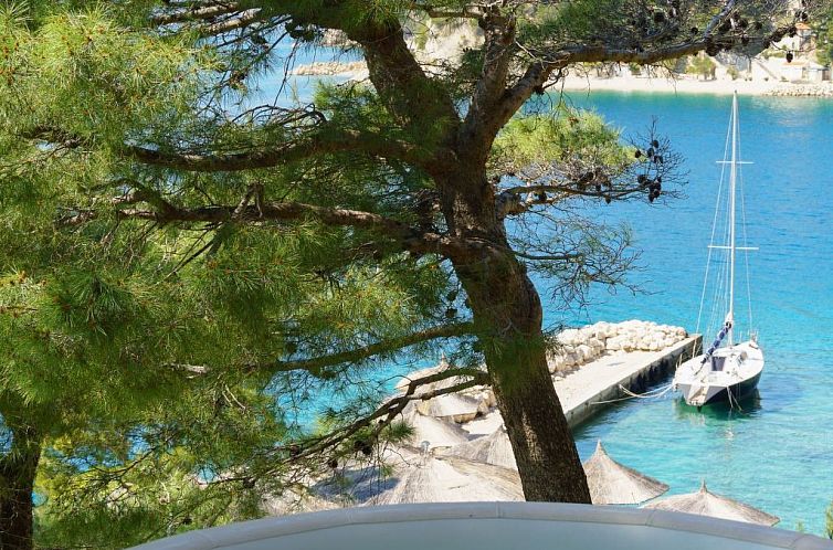 Guest house 10317026 - Apartment Dalmatia - Appartement Wohnung mit Whirlpool