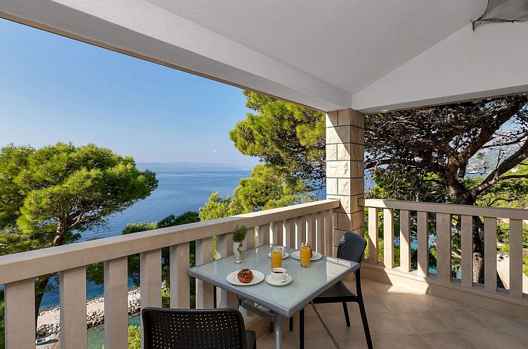 Guest house 10317036 - Apartment Dalmatia - Appartement Pine Canopy Studio mit Balkon und Meerblick A1