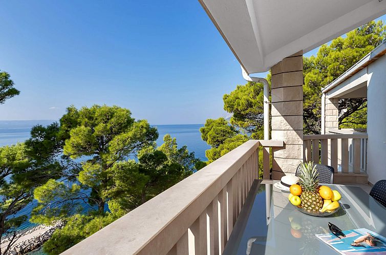 Appartement Pine Canopy Family Studio mit Meerblick A2