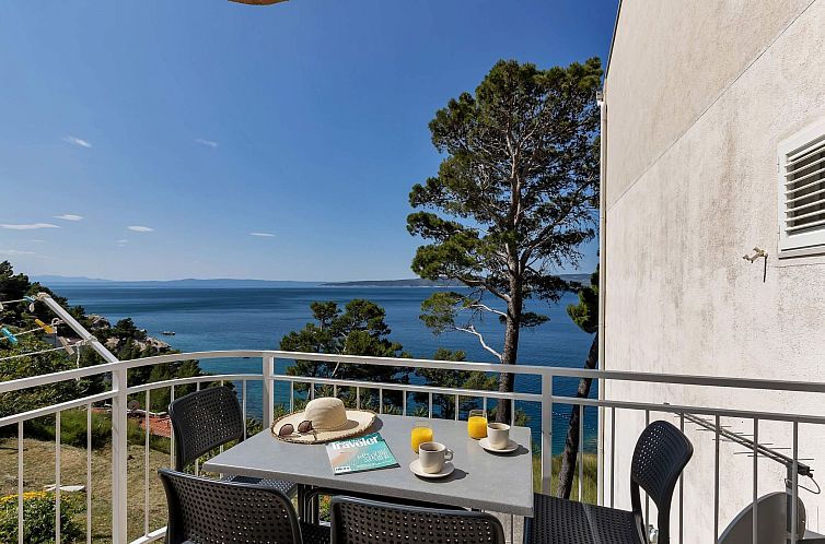 Appartement Pine Canopy Zwei-Zimmer-Wohnung A8