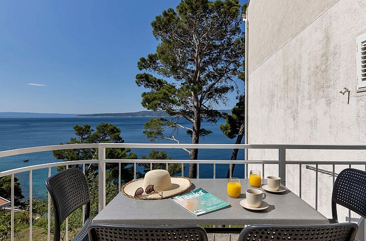 Appartement Pine Canopy Zwei-Zimmer-Wohnung A8