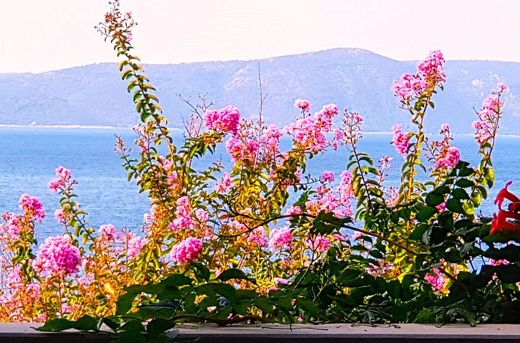 Appartement Tolle Wohnung in Drašnice mit Schönem Garten