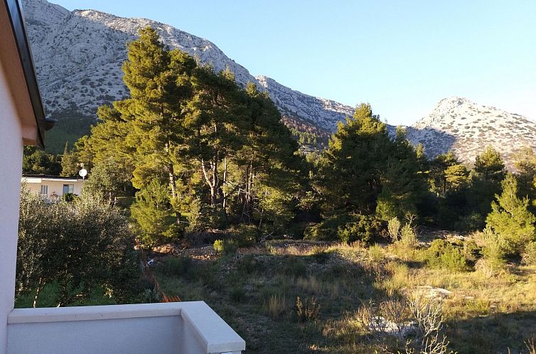 Appartement Michele-Grejp