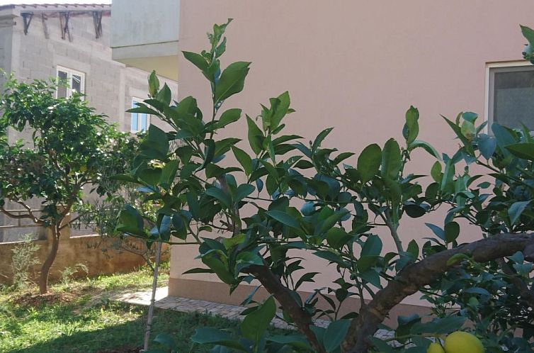 Appartement Michele-Grejp