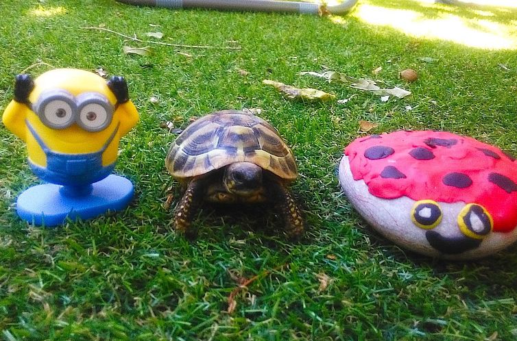 Vakantiehuis Karmen auf zwei Ebenen mit Garten