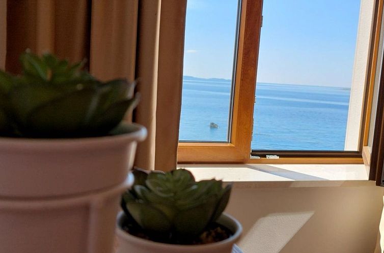 Vakantiehuis Ferienvilla "Dalmatiner" mit Infinity Pool