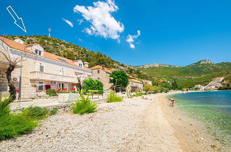 Guest house 10317403 - Apartment Dalmatia - Appartement Jelka