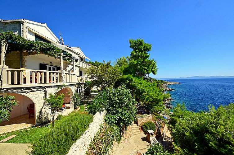 Unterkunft 10317501 - Appartement Dalmatien - Appartement Plavac Mali