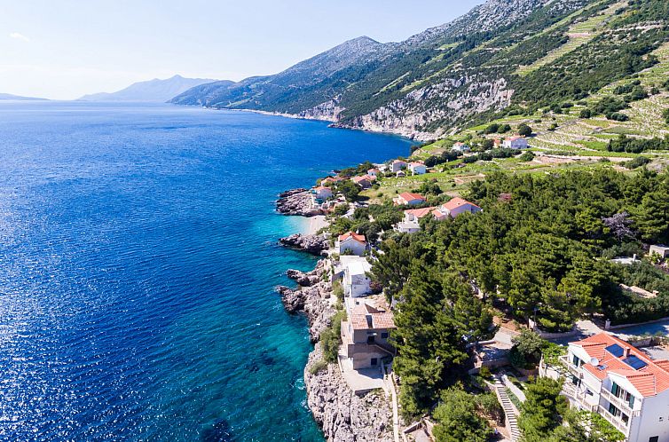 Appartement Plavac Mali