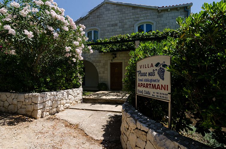 Appartement Plavac Mali