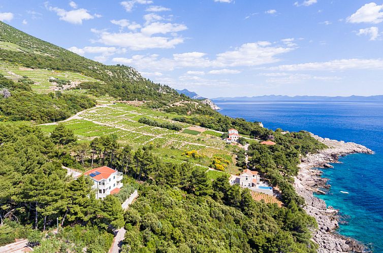 Appartement Plavac Mali