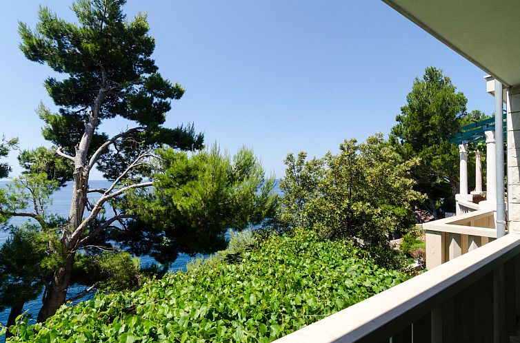 Appartement Plavac Mali