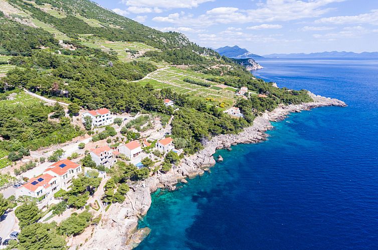 Appartement Plavac Mali