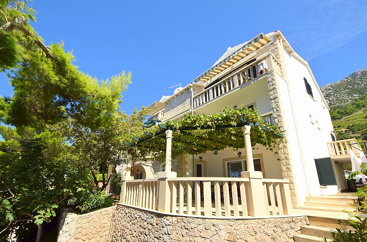 Appartement Plavac Mali