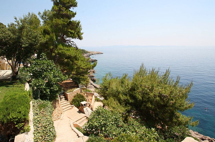 Appartement Plavac Mali