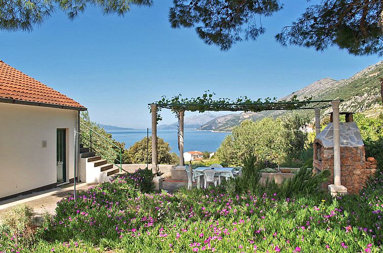 Guest house 10317510 - Holiday property Dalmatia - Vakantiehuis Katica