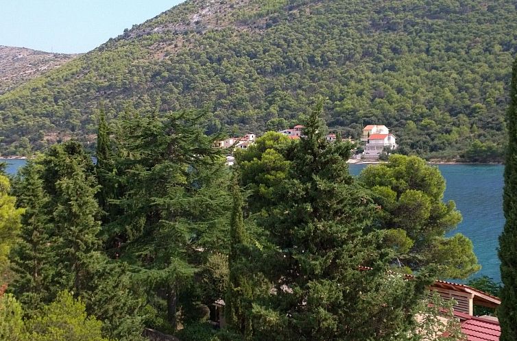 Appartement Penthouse-Wohnung mit spektakulärem Meerblick