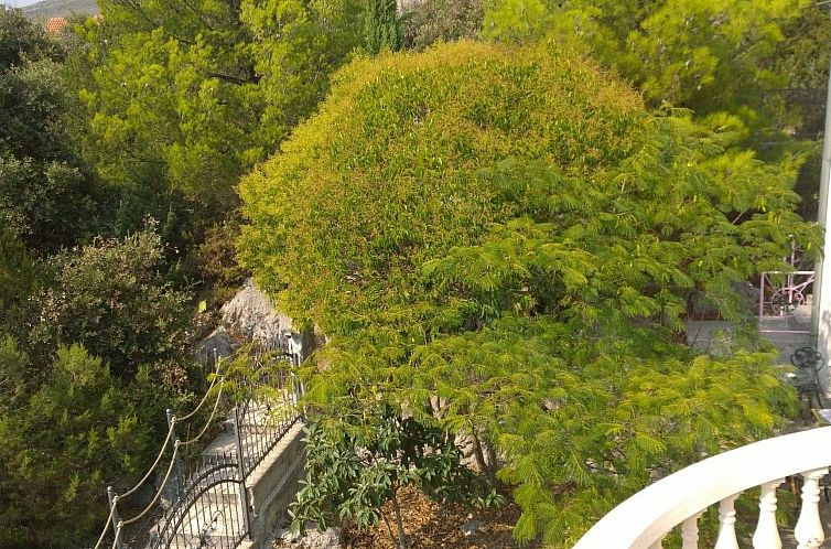 Appartement Penthouse-Wohnung mit spektakulärem Meerblick