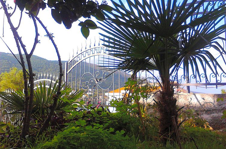 Appartement Penthouse-Wohnung mit spektakulärem Meerblick