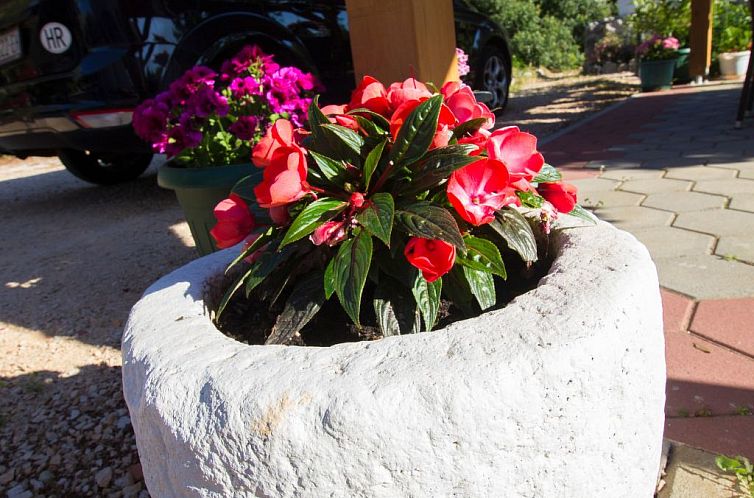 Appartement Wohnung mit Blick auf das Wasser