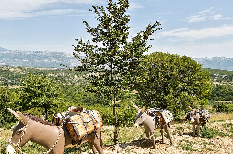 Vakantiehuis Villa Ana