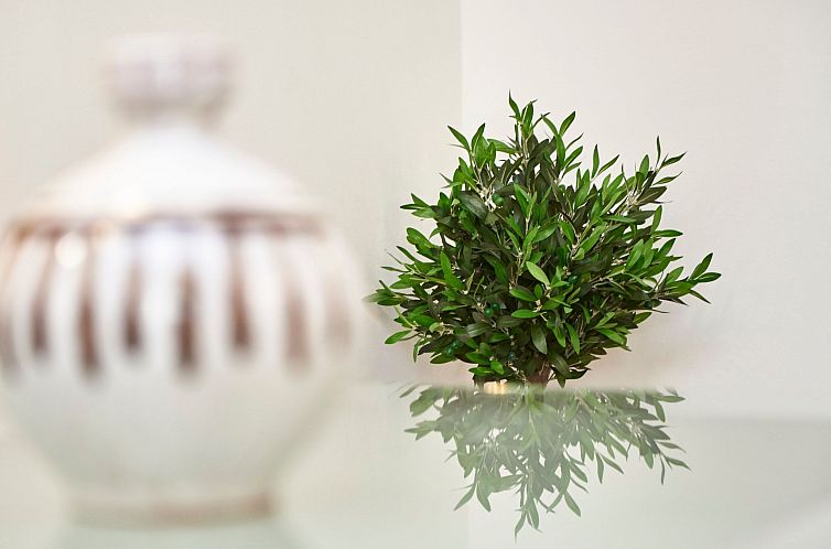 Appartement Wohnung "Gea 2" mit Wi-Fi