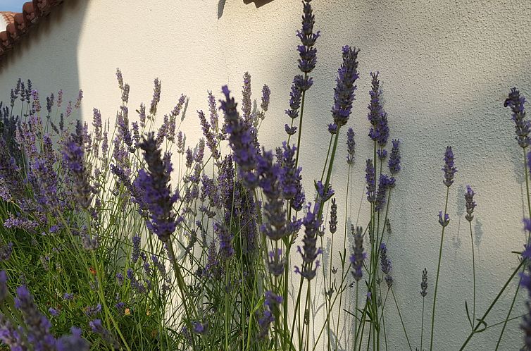 Vakantiehuis "Lavanda"