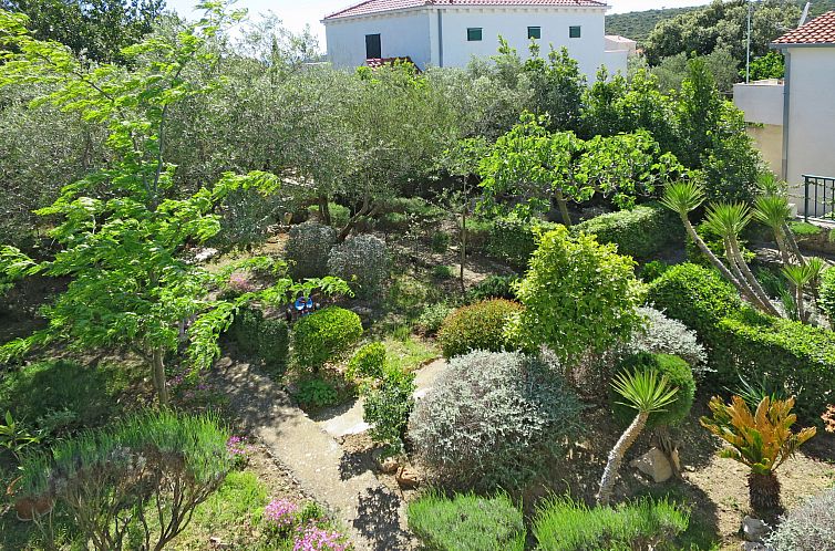 Vakantiehuis Maslina