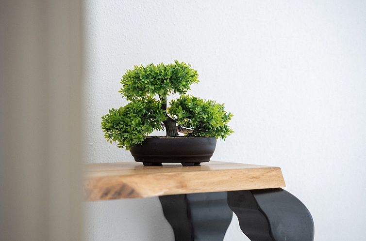 Appartement Moderne Ferienwohnung Zen 2