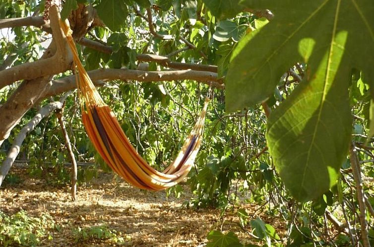 Appartement in Poljica-Marina