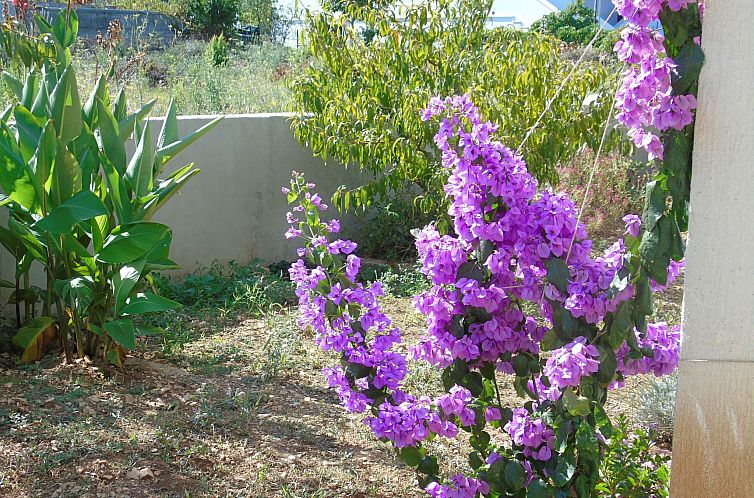 Appartement Wohnung direkt am Strand