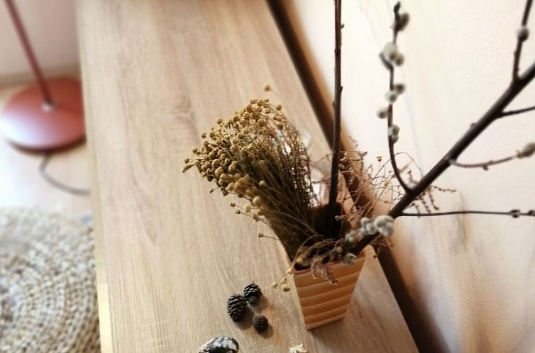 Appartement Studio-Apartment im Obergeschoss