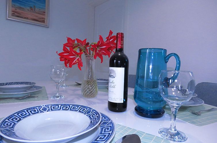 Appartement mit Terrasse