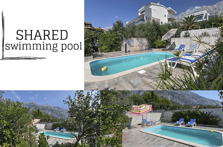 Guest house 10323105 - Apartment Dalmatia - Appartement Wunderschöne Wohnung in Zelenka mit Gemeinschaf