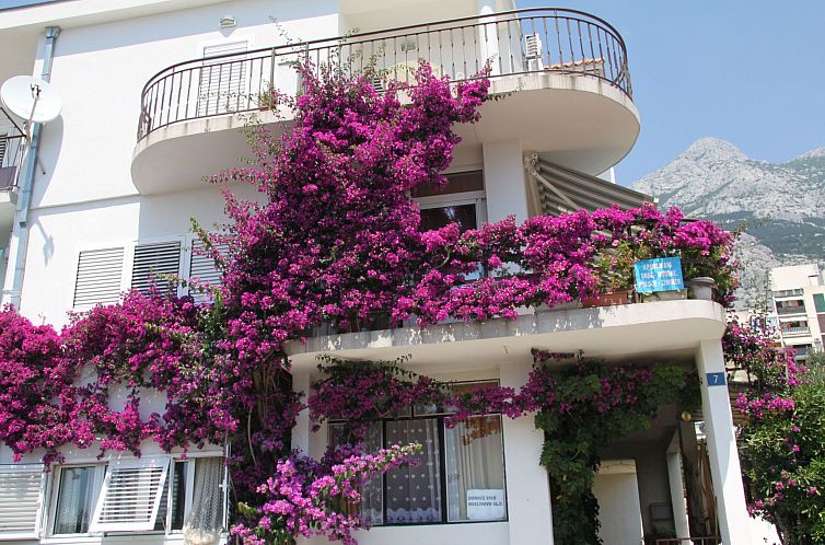 Unterkunft 1032374 - Appartement Dalmatien - Appartement mit Blick auf das Wasser